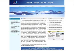 因科瑞斯集团 北京企业网站建设 网站设计 网站制作案例 原创先锋